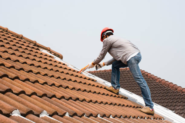 Best Gutter Installation and Repair  in Orofino, ID